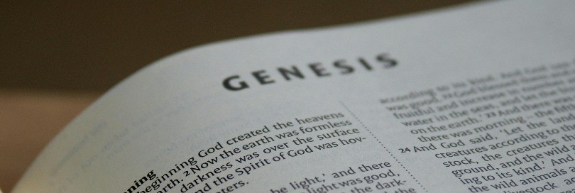 ICC Genesis: a new approach to origin certification?