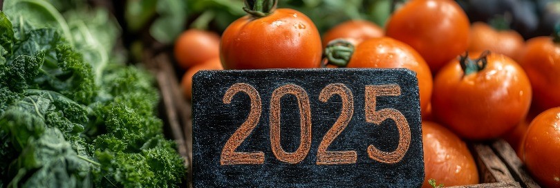 What is new in the Combined Nomenclature 2025?